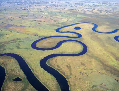 Why you should travel to the Okavango Delta